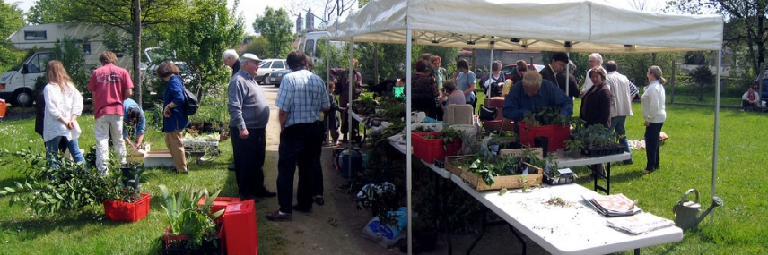 Organiser un troc aux plantes en bibliothèque… (ou ailleurs