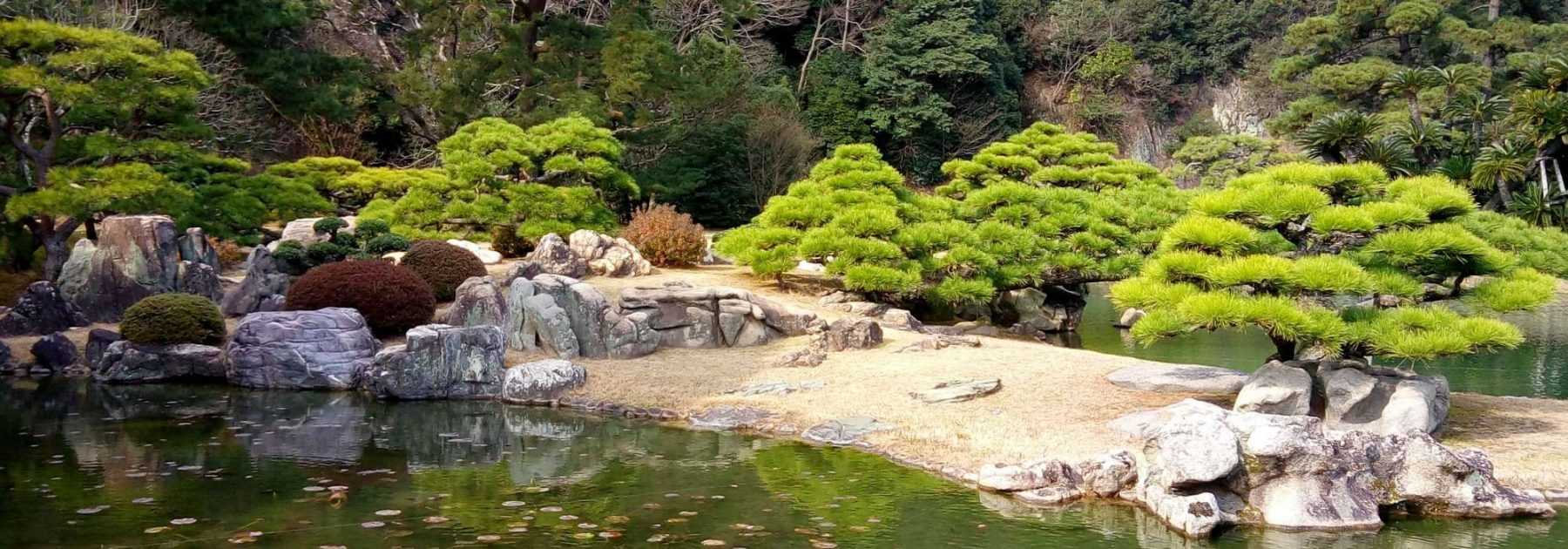 Créer un jardin japonais ou jardin zen - Blog Promesse de fleurs