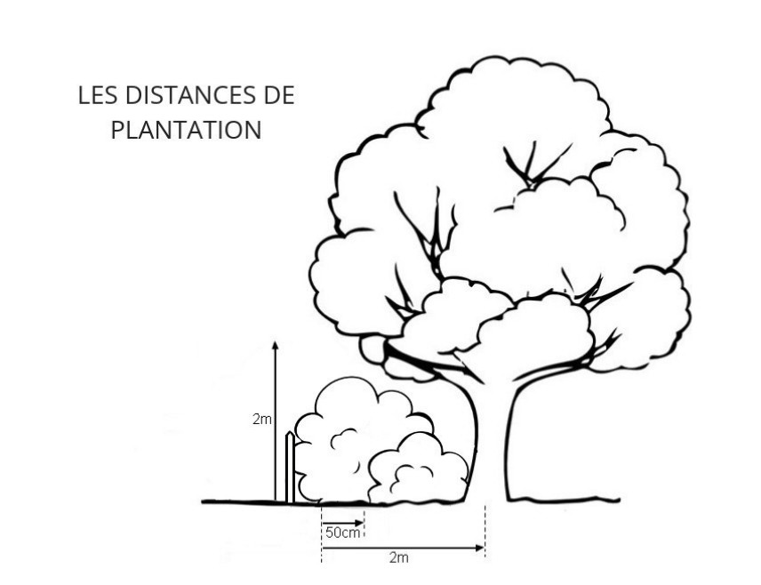 distance plantation voisin