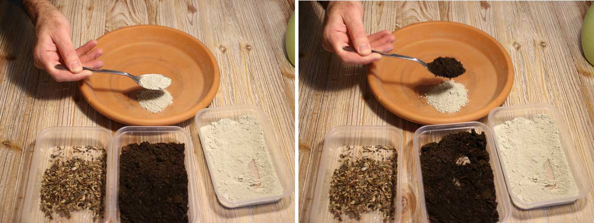 Kit bombes à graines avec graines, terreau de jardin et poudre d