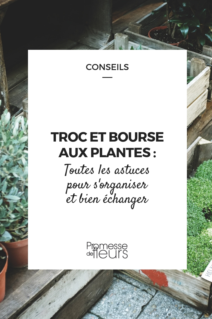 Troc plantes, bourses au plantes : s'organiser pour bien échanger