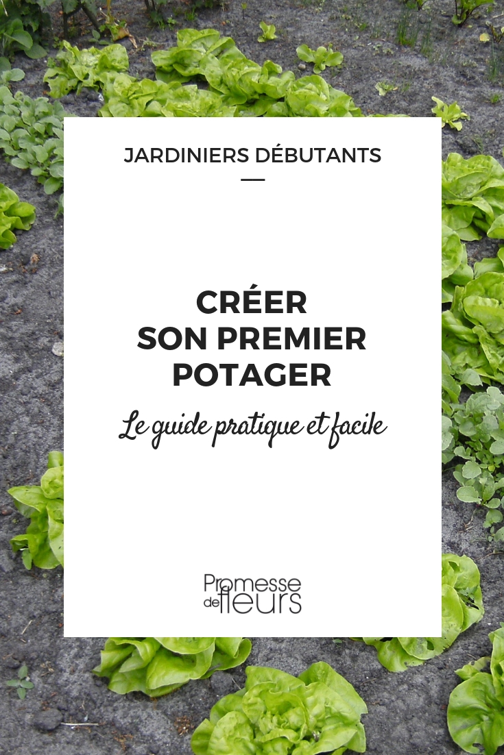 Faire son premier potager - Guide pour les débutants - Blog Promesse de  fleurs