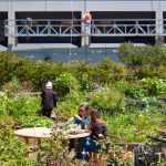 Jardins partagés : des lieux où l'on cultive aussi la solidarité