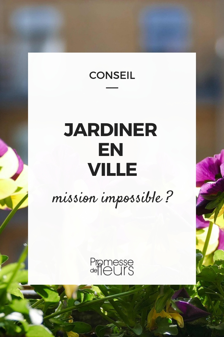 jardiner en ville