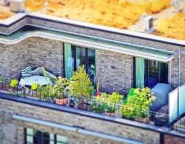 Jardiner en ville, mission impossible ?