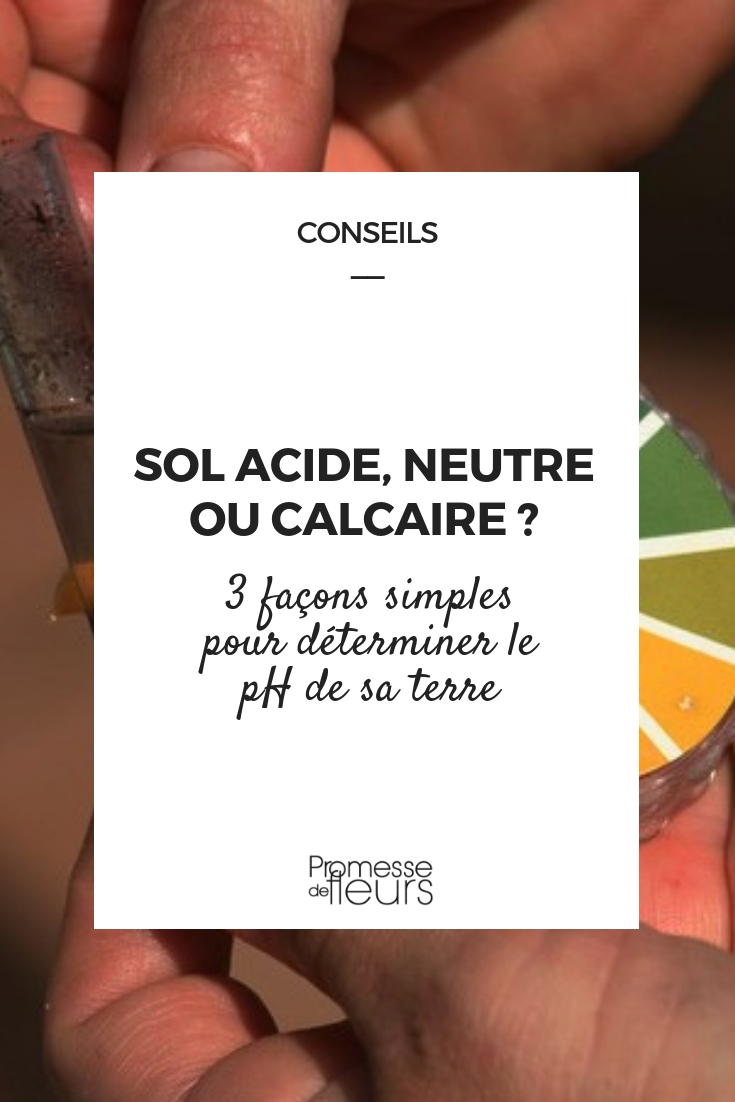 Sol acide, sol neutre ou sol calcaire : comment savoir Sol acide, sol neutre ou sol calcaire : comment savoir