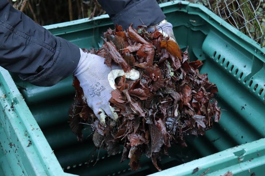 faire du terreau de feuilles mortes