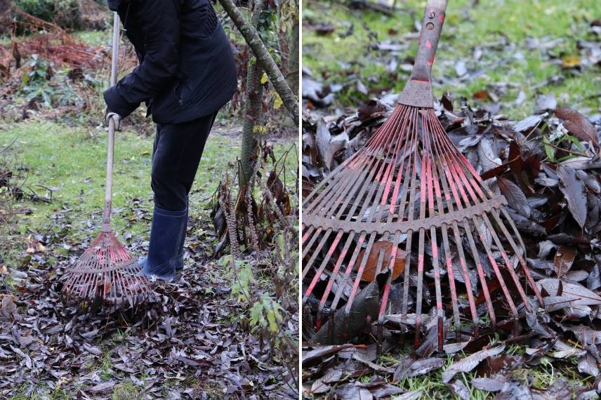 faire du terreau de feuilles mortes