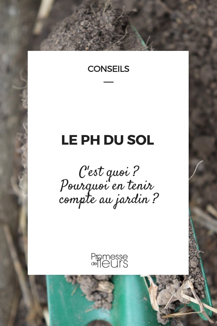 Le pH du sol