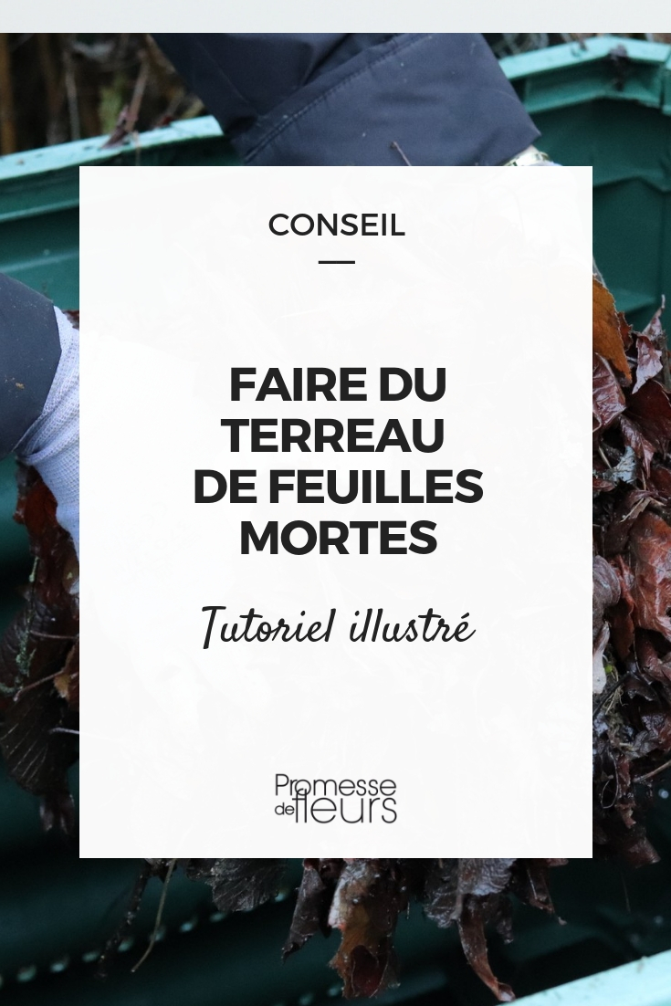 terreau de feuilles - tutoriel