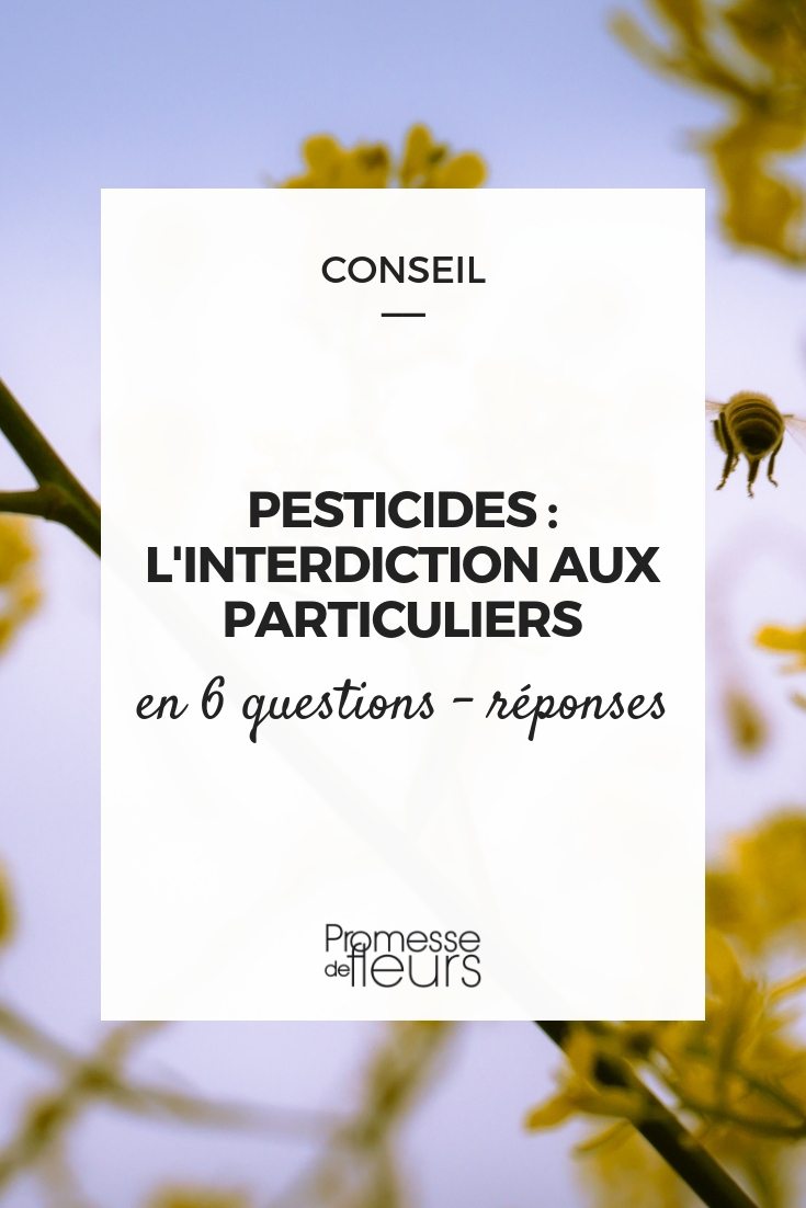 pesticides interdits aux particulier : la loi labbé