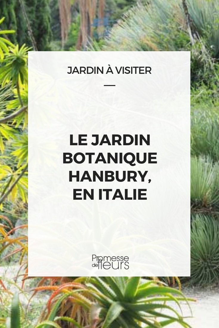 jardin botanique hanbury