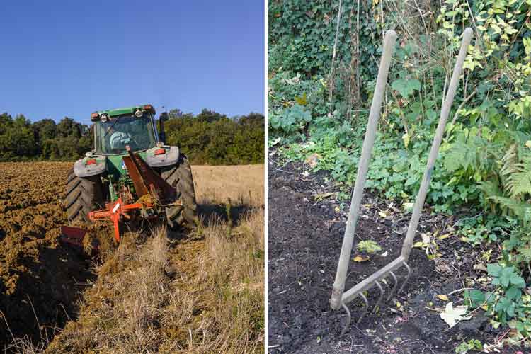 La grelinette, outil magique du potager en permaculture