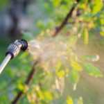 Pesticides : 6 questions sur l'interdiction aux particuliers à partir du 1er janvier 2019