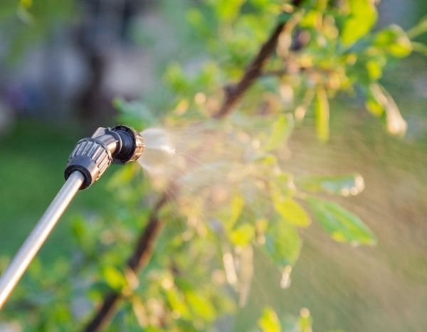 Pesticides : 6 questions sur l'interdiction aux particuliers à partir du 1er janvier 2019