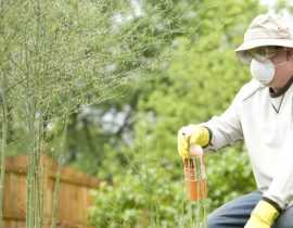 Pesticides : 6 questions sur l'interdiction aux particuliers à partir du 1er janvier 2019