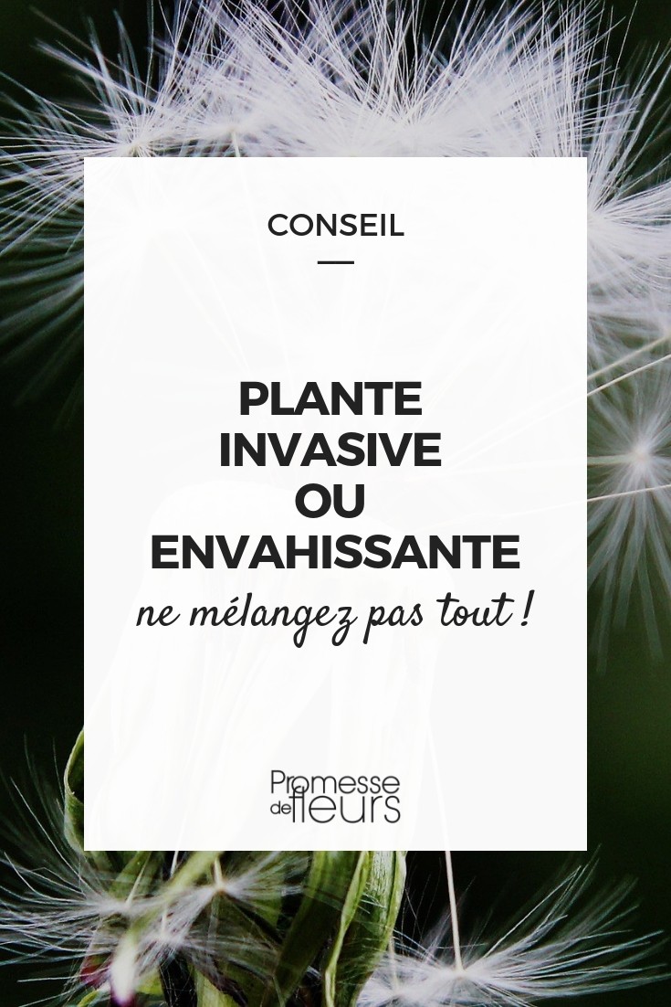 plantes envahissantes ou invasives