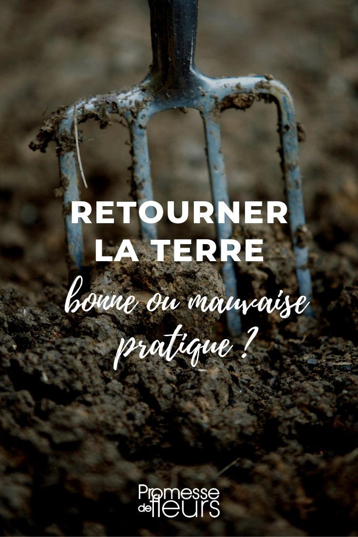 travail du sol : faut il retourner la terre