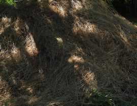Déchets verts : solutions de recyclage et valorisation au jardin