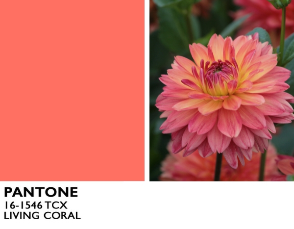 Tendance 2019 : la couleur corail !