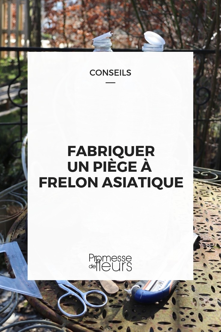 Piege A Frelon Asiatique Comment Le Fabriquer Tutoriel Illustre