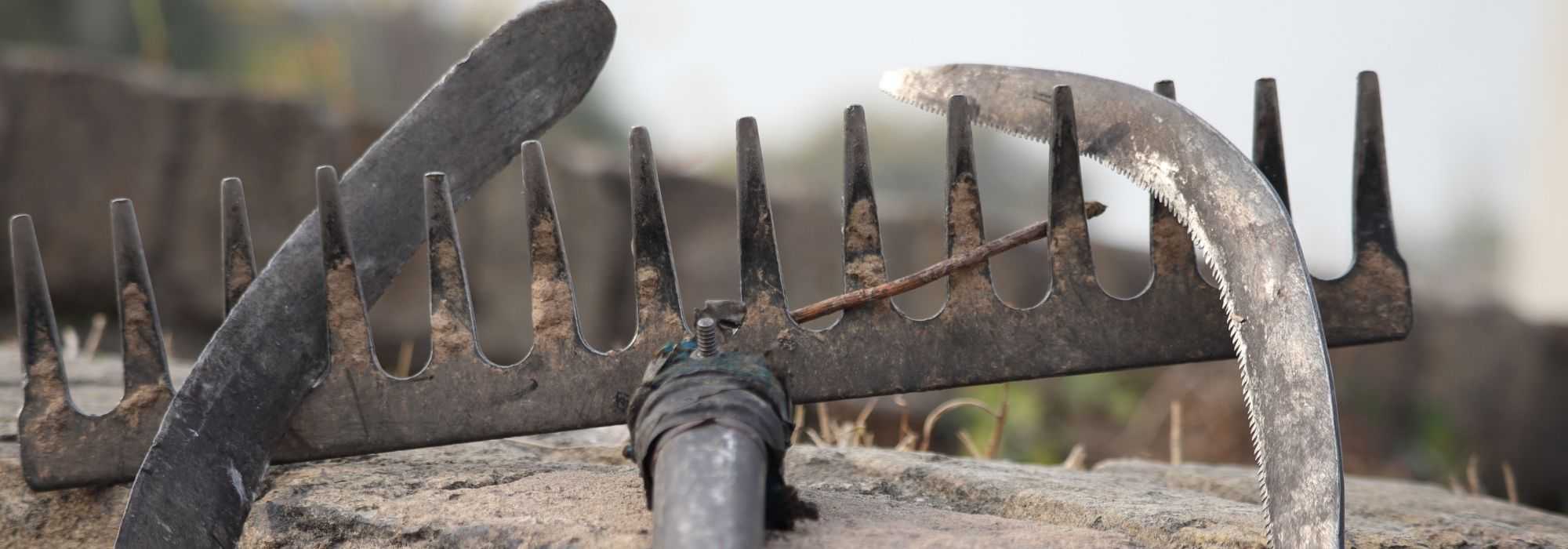 Nettoyer, entretenir et protéger vos outils de jardinage - Promesse de  Fleurs