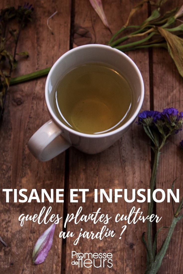 La Tisanière – Tisanes et Infusions : Transmettre le bien-être