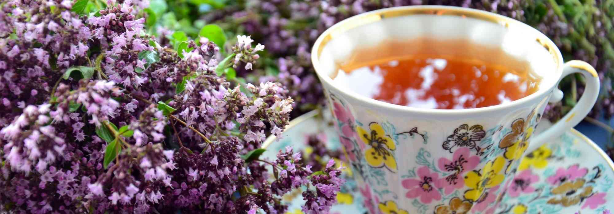 Tisane et infusion : quelles plantes cultiver au jardin - Promesse de Fleurs