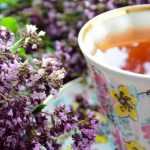 Tisane et infusion : quelles plantes cultiver au jardin ?