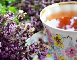 Tisane et infusion : quelles plantes cultiver au jardin ?