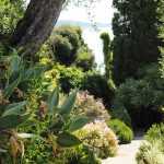 Jardin méditerranéen : 10 plantes emblématiques pour l'aménager