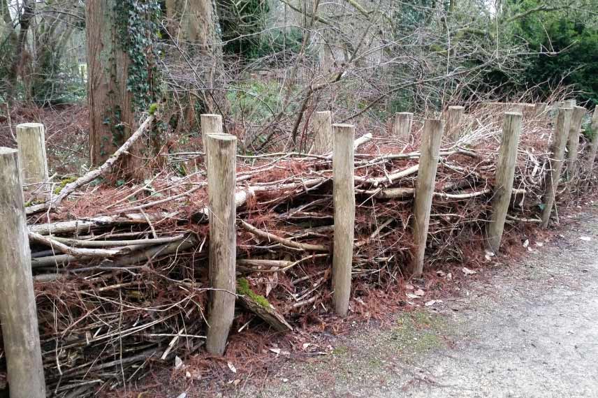 palissage ou mur de déchets verts