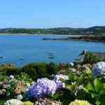 Aménager un jardin en bord de mer