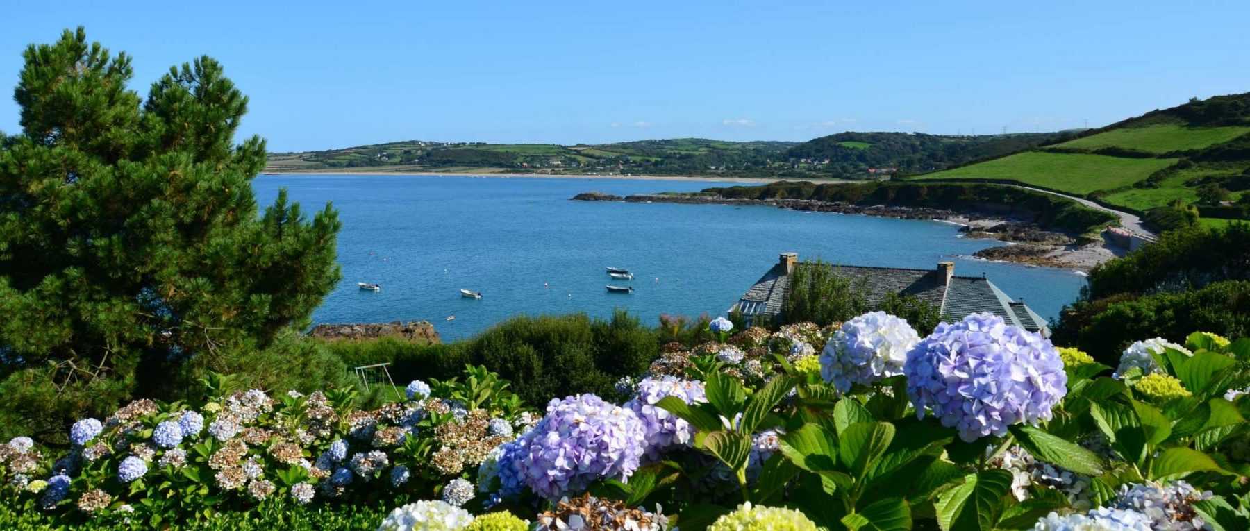 Aménager un jardin en bord de mer