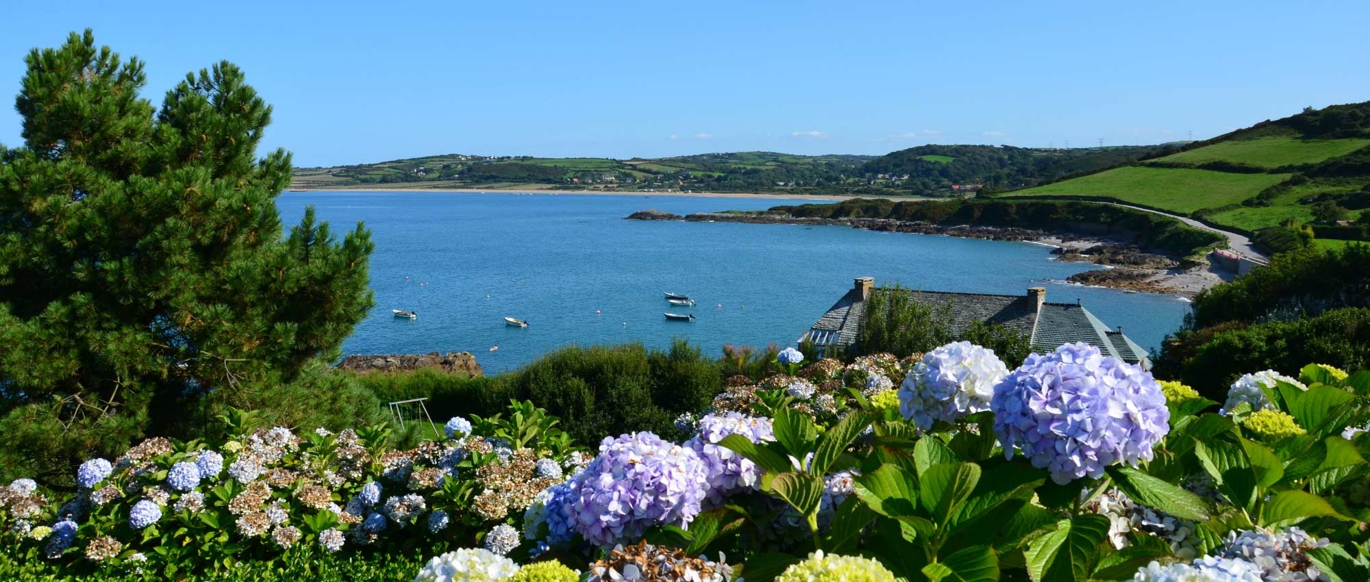 Aménager un jardin en bord de mer