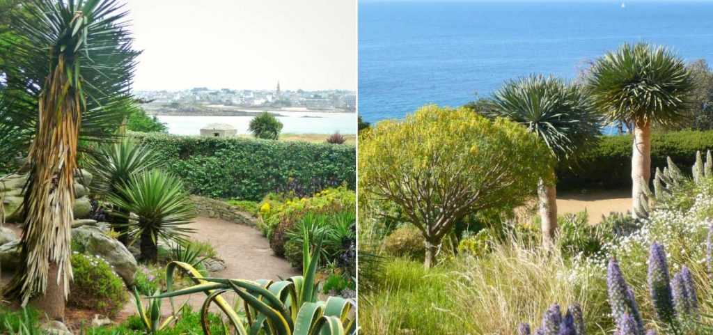 Jardin de bord de mer : comment l’aménager et l’entretenir