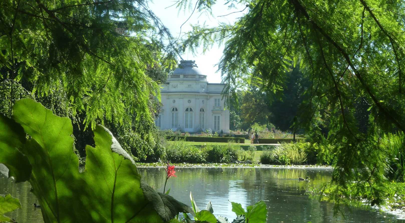 Les plus beaux jardins japonais à découvrir à Paris et aux