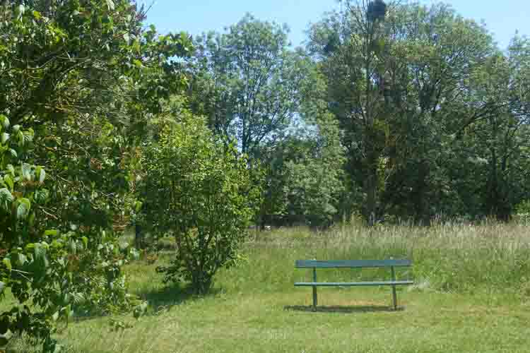 Arboretum du Breuil à visiter