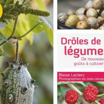 Drôles de légumes " de Blaise Leclerc - Editions Terre vivante