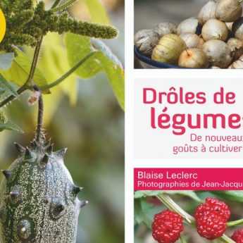 Drôles de légumes " de Blaise Leclerc - Editions Terre vivante