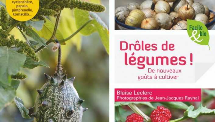 Drôles de légumes " de Blaise Leclerc - Editions Terre vivante