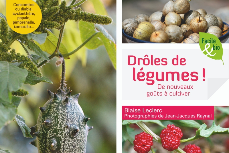 Drôles de légumes " de Blaise Leclerc - Editions Terre vivante