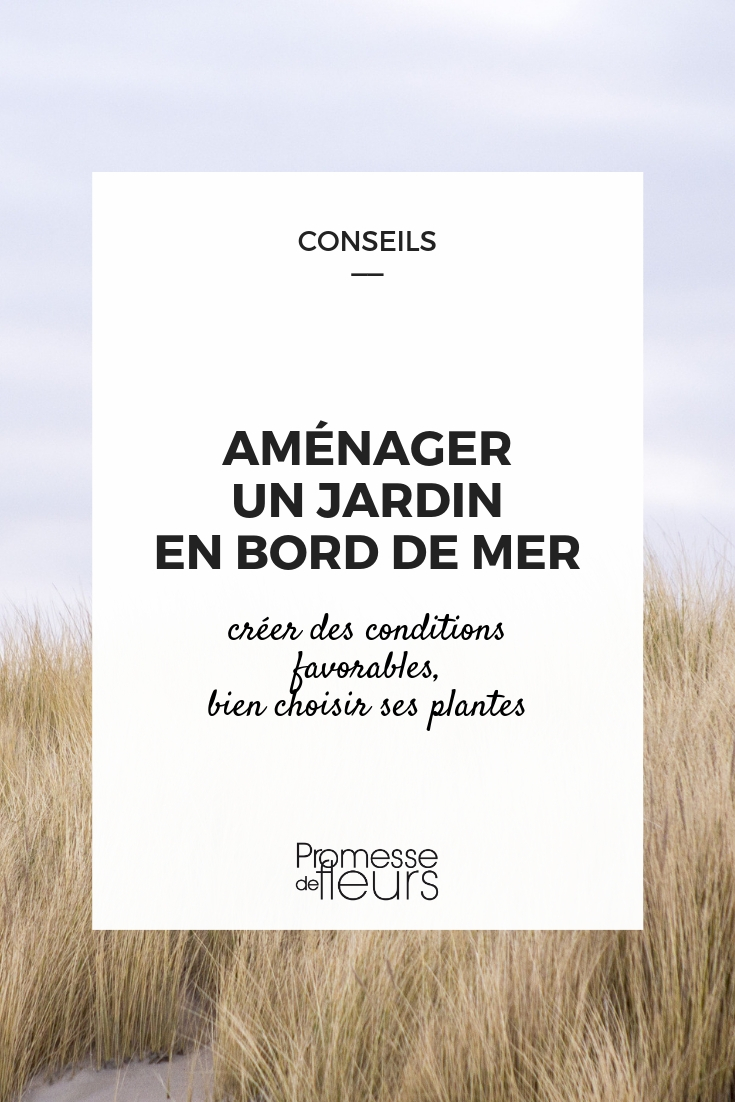 aménager un jardin en bord de mer