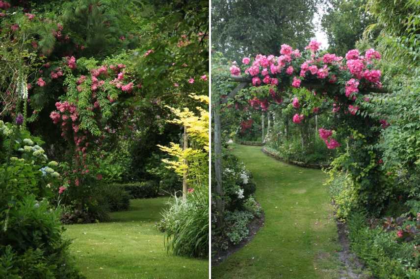 aménager un jardin en longueur