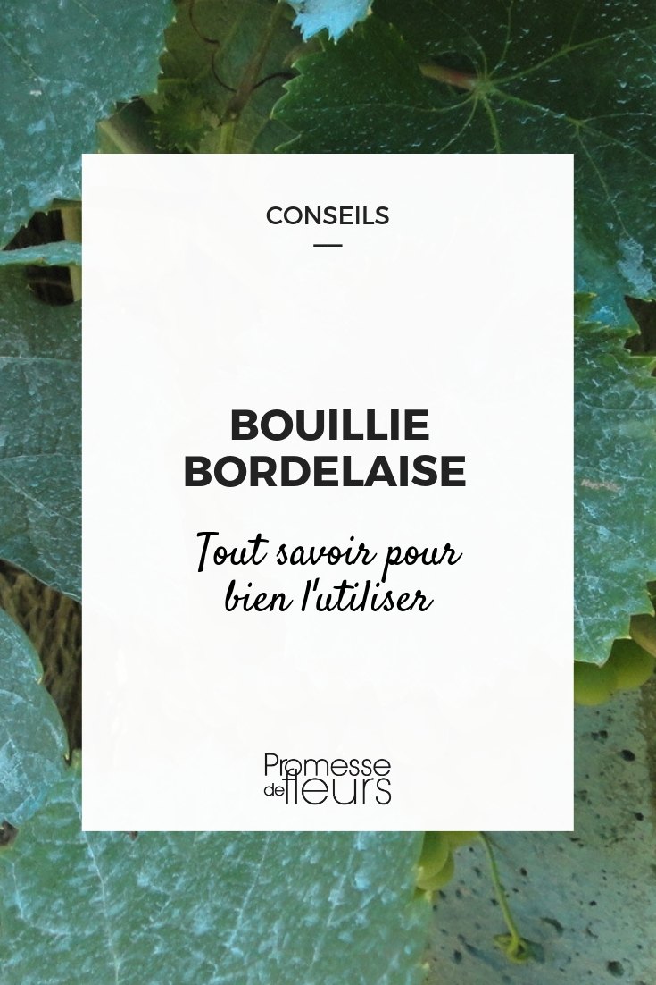 Comment bien utiliser la bouillie bordelaise ? - Gamm vert