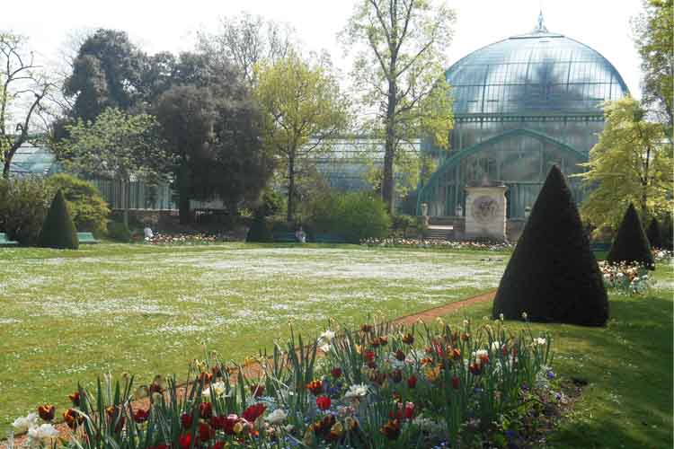 Serres d'Auteuil à visiter