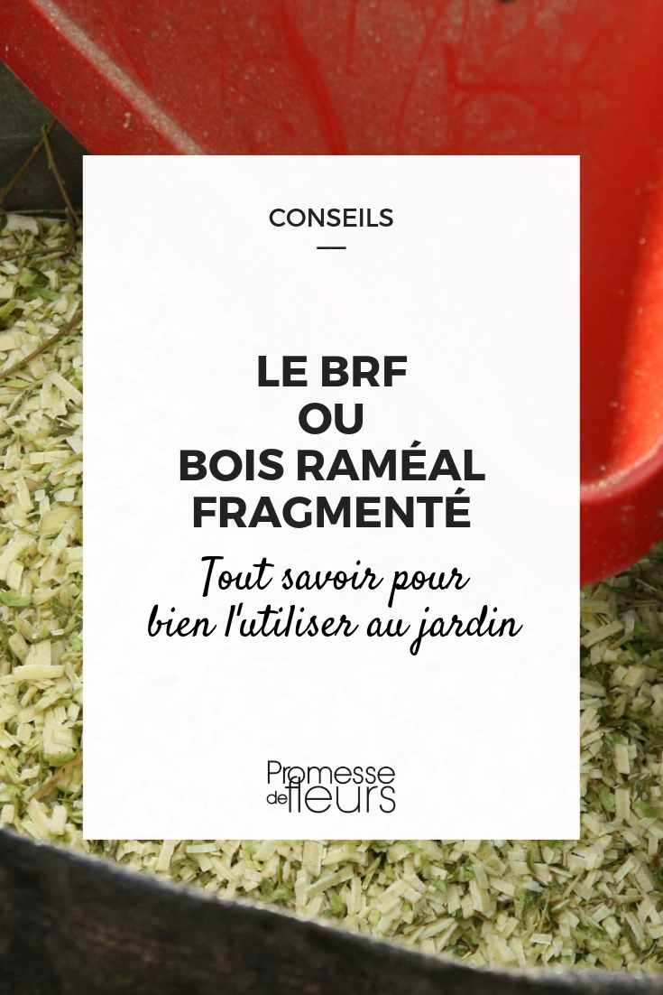 BRF, bois raméal fragmenté : tout savoir