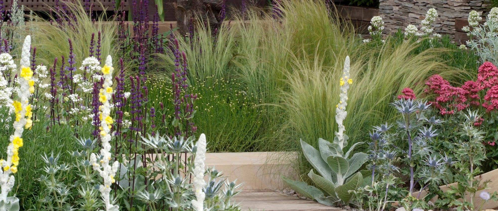 NaturDéco - Un beau jardin minéral avec une touche de végétal