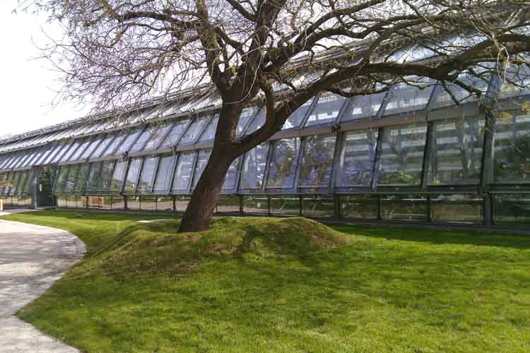 serres contemporaines au jardin d'auteuil