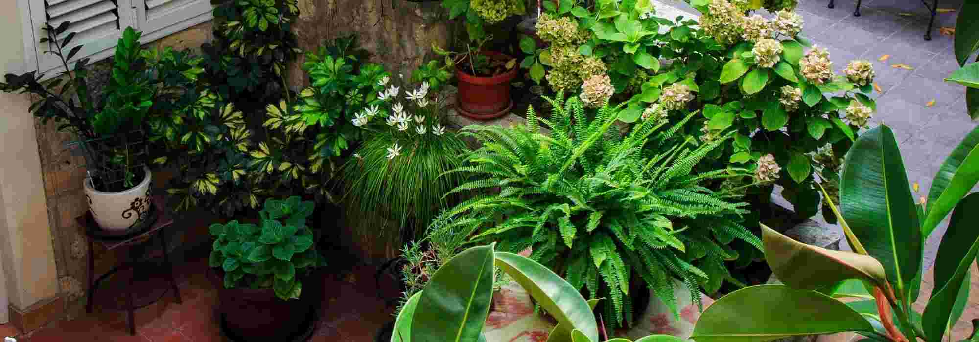 Brasero de jardin : quels avantages ? - Blog Le Pin Parasol